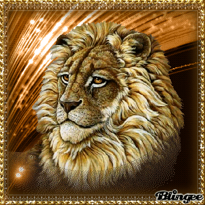 Prächtiger Löwe Bild 129258418