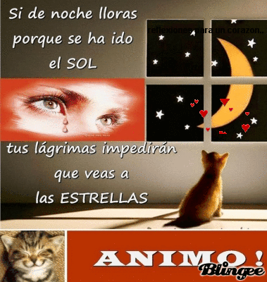 reflexiones para un corazon triste