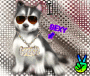 Huskyyo Huskyyo