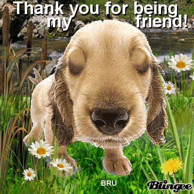 Thank You For Being My Friend By Bru Picture 129476902 Blingeecom