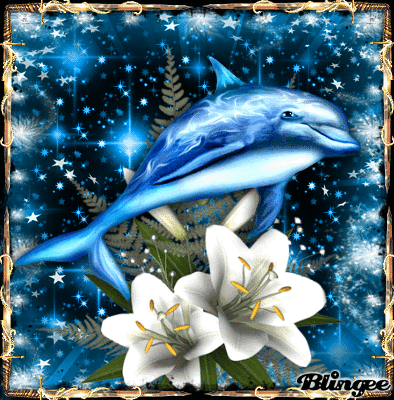 774116968_686815.gif?4