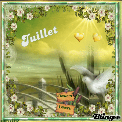 JUILLET EN FLEUR