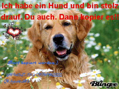 http://image.blingee.com/images19/content/output/000/000/000/7b9/795984044_1263389.gif
