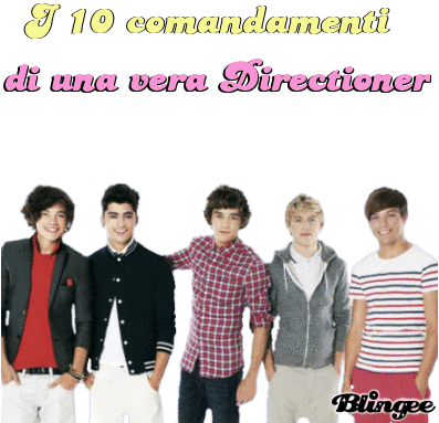I 10 comandamenti di ogni Directioner