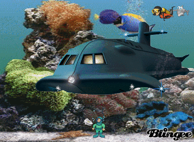 Bottom clip sea video voyage Bottom clip sea video voyage