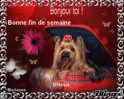 Bon Vendredi a vous tous Picture #129964746 | Blingee.com