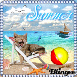 sommer sonne sonnenschein