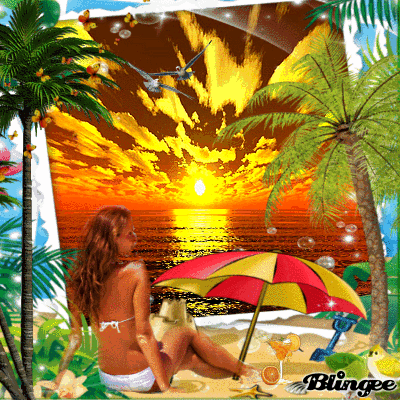 enjoy the summer under palms 