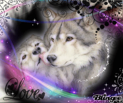 Wolves in Love ♥♥♥ Picture #130189776 | Blingee.com