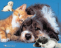 Animals!