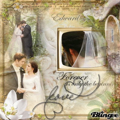 Love romance style vintage /Breaking dawn twilight/concours vintage rose arc en ciel