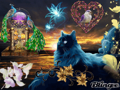 Paradis des Chats ... Paradis des Chats ...