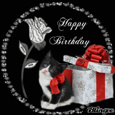 Happy Birthday Happy Birthday