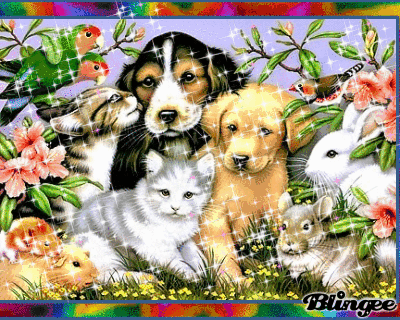 Https Encrypted Tbn0 Gstatic Com Images Q Tbn 3aand9gcsqtqs8aehkkqopteb9l0jax550vpyyod Atq Usqp Cau