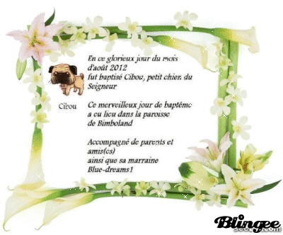 Certificat baptême cibou Ekaill