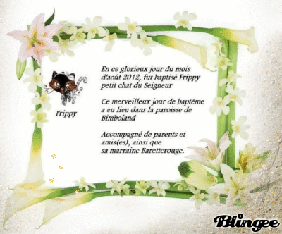 Certificat baptême Frippy baby Certificat baptême Frippy baby