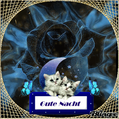 Https Encrypted Tbn0 Gstatic Com Images Q Tbn 3aand9gcsb5z7wh65 Xzg1qgrglcehul5x0ea9drz6 62ob8wtbbrearjn Usqp Cau