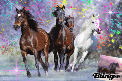 Images I Love Chevaux Animees A Partager 130657260 Blingee Com