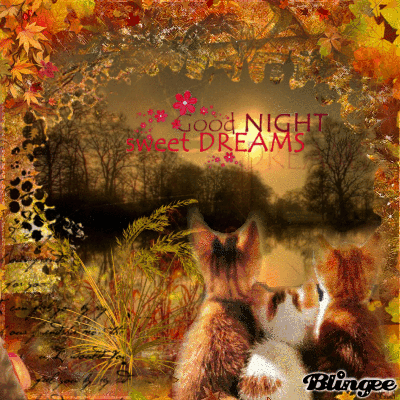 Account Login | Blingee.com