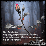 Q Tbn And9gcrlcjp5ouek8f7ojfki44syp9stt3jbgtcbzg Usqp Cau