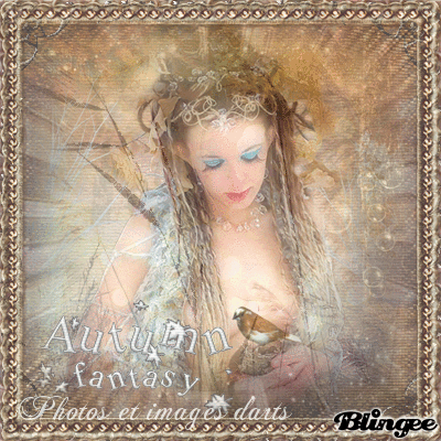 Icône de novembre/concour photos et images d'arts