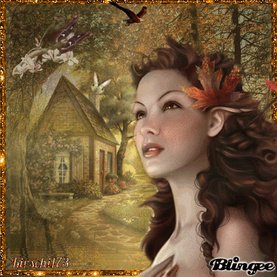 die letzten Schmetterlinge