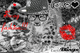 Léopard des neiges Léopard des neiges