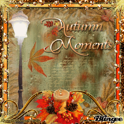 Orange- Autumn Moments ((alwaysanangel69))©®