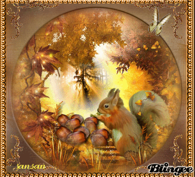 concours5 petit écureuil fait sa réserve