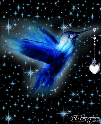 Imagem De Colibri Azul 131119565 Blingee Com