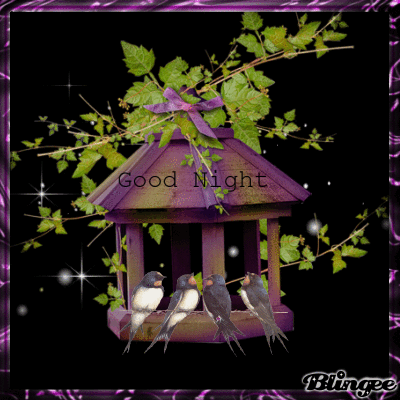Good Night Birds Picture 131155931 Blingee Com