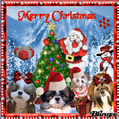 &quot; A Shih Tzu Christmas&quot; Picture #131165174 | Blingee.com