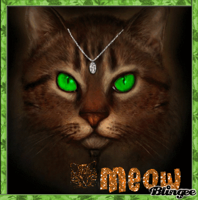 POUR BYLAR QUI AIME TANT LES CHATS Picture #131172148 POUR BYLAR QUI AIME TANT LES CHATS Picture #131172148