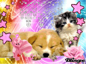 L'éclate des chien et chat