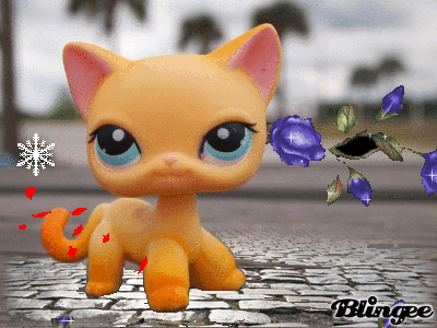 lps brooke