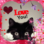 kaykitty727 kaykitty727