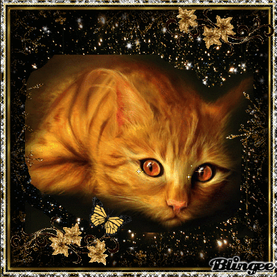 glitter cat Picture #131632512 | Blingee.com