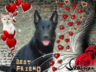 best Friends