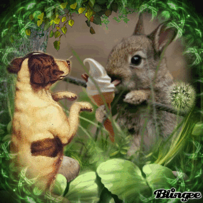 Https Encrypted Tbn0 Gstatic Com Images Q Tbn 3aand9gcqsmej9mrsidbrhwbo17ajbvvp0nm Ytavu5q Usqp Cau