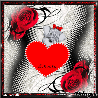 BONNE SAINT VALENTIN (chien)