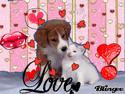 Cani Dolcissimi Picture 131816215 Blingee Com