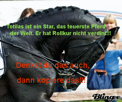 Rollkur Totilas
