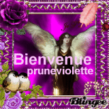 Bienvenue pruneviolette (Welcome pruneviolette)