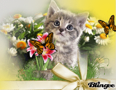 Fiori Farffalle E Gatti Picture 131989998 Blingeecom