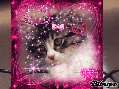 Afficher l'image d'origine