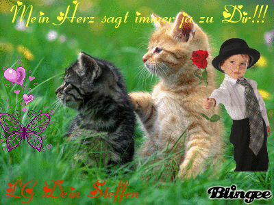 Get Herzsprueche HD Herzsprueche