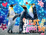 Do You have a Group of Penguins?