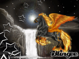feuer pegasus