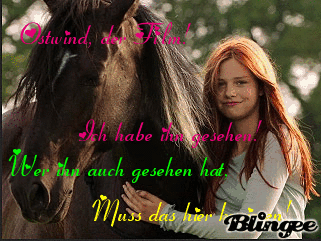 Ostwind