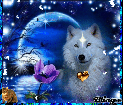Https Encrypted Tbn0 Gstatic Com Images Q Tbn 3aand9gct8iloid6t1atrbfwcom 1g5m Vf Irvnlpmq Usqp Cau